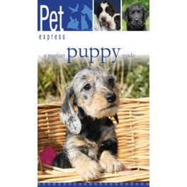 Pet Express A Perfect Puppy Guide