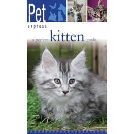 Pet Express A Perfect Kitten Guide