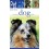 Pet Express A Perfect Dog Guide