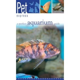 Pet Express A Perfect Aquarium Guide