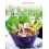 Quick & Easy: Low Cholesterol Recipes
